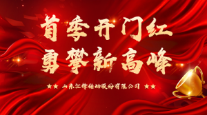 首季開門紅 勇攀新高峰|匯鋒股份第一季度表彰暨工作總結大會順利召開